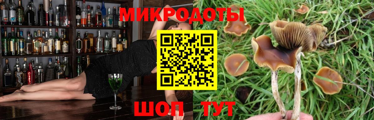 Псилоцибиновые грибы Psilocybine cubensis  Вход с VPN  Иваново 